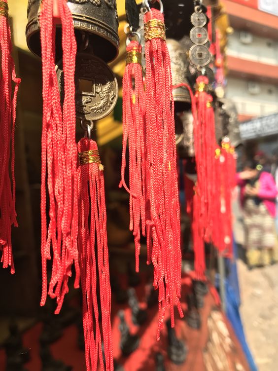 Shimla Manali Dharamshala Tour